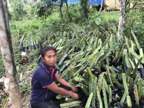 Promoting livelihood