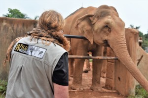 Meeting Elephants on a Previous Assessment Visit
