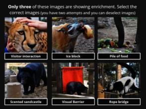 Enrichment Interactive E-Learning Slide