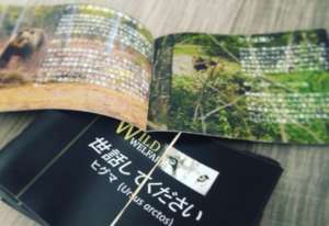 Translated 'Care For Us' Manual