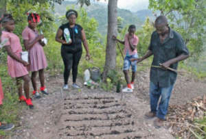 Creating garden beds
