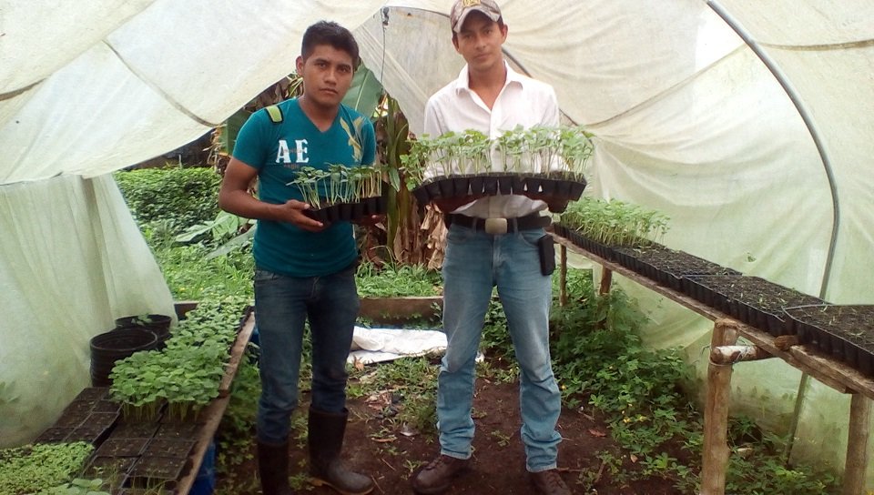 Gardens Grow Food for Families During COVID-19