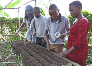 Gardens Grow Food for Families During COVID-19