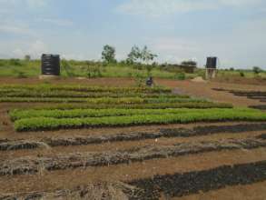 The new solar irrigation system