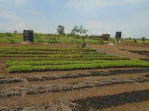 The new solar irrigation system