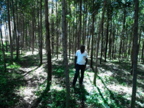 Amosi S. on his farm