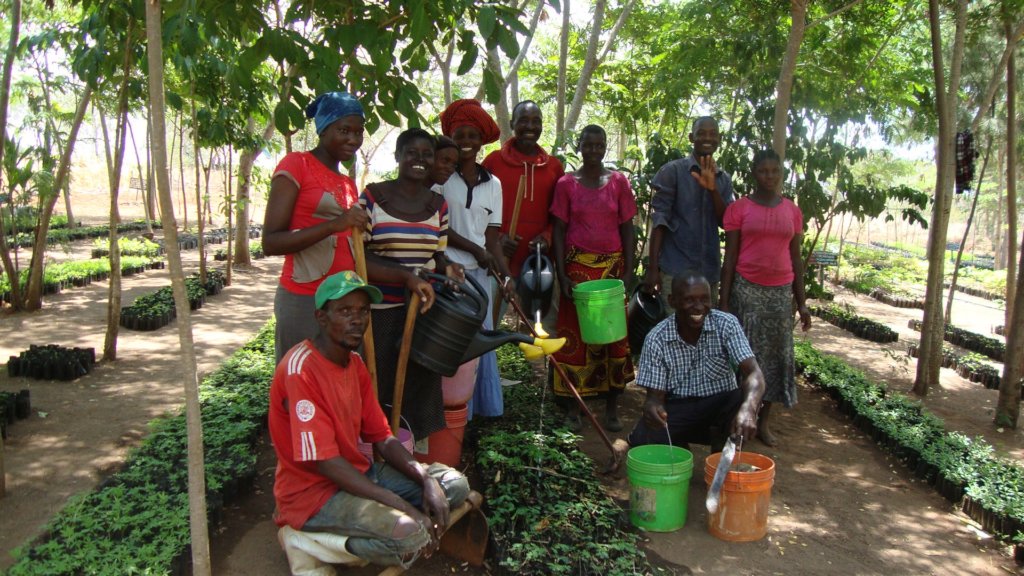 Transitioning villages to agroforestry in Tanzania