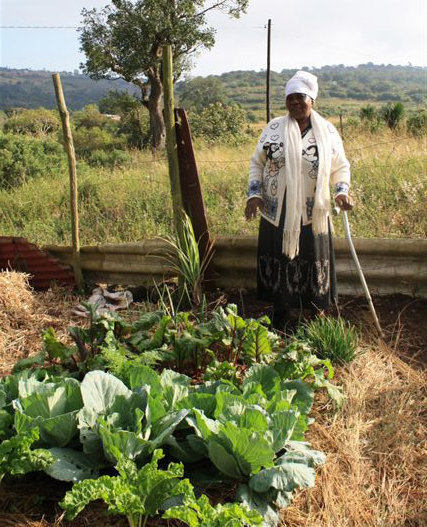 Develop sustainable farming in rural South Africa