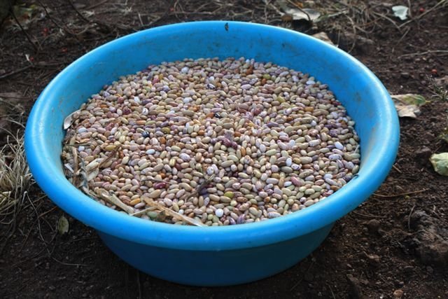 Develop sustainable farming in rural South Africa