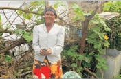 Develop sustainable farming in rural South Africa