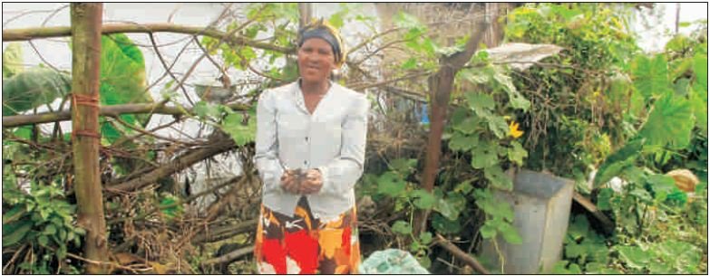 Develop sustainable farming in rural South Africa