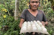 Coronavirus- Affected Small Business Fund