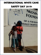 Assisstive devices for mobility