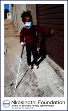 Guiding the Blind through the COVID-19 Pandemic