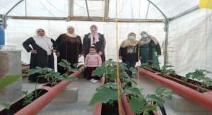 Women in one of the greenhouses