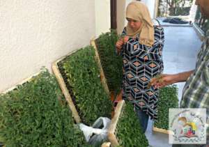 Karama remains a key actor for local agriculture