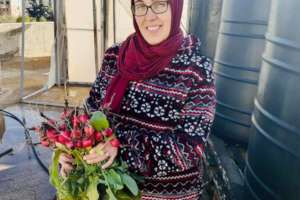 Raddish, a lovely winter product to pick yourself!