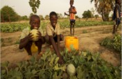 COVID-19 Emergency AID for Rural&Nomadic Nigeriens