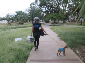 Bocanegra and Beethoven