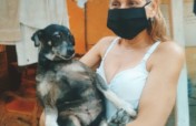 Help animals in Venezuela as result of COVID19