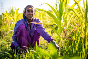 Parwati, one of our agricultural workers.