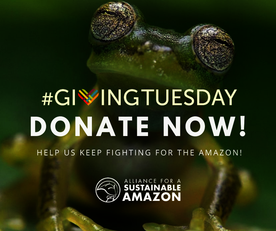 Help us keep fighting for the Amazon!
