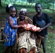 Our farm Sweet potatoes product