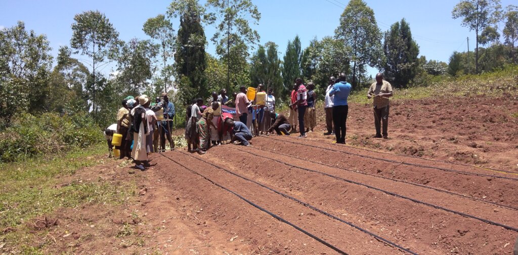 farming to feed