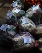 Vegetable ration bags The Garage School