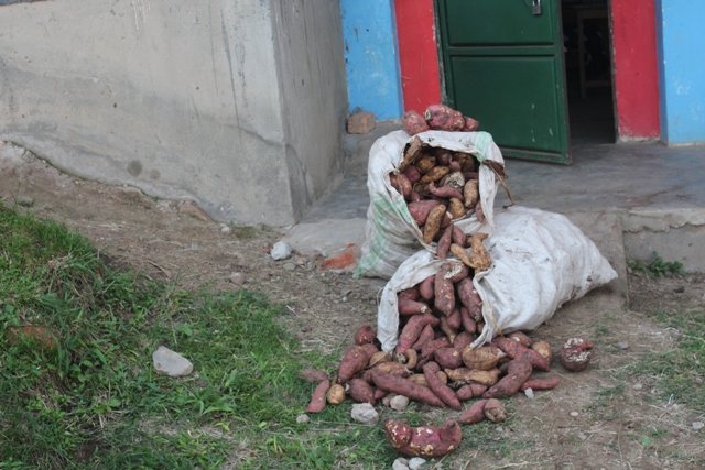 Food Relief For Families During the Pandemic