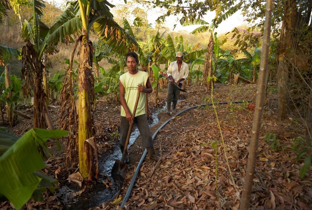 Irrigation Water Project in Honduras