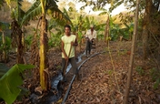 Irrigation Water Project in Honduras