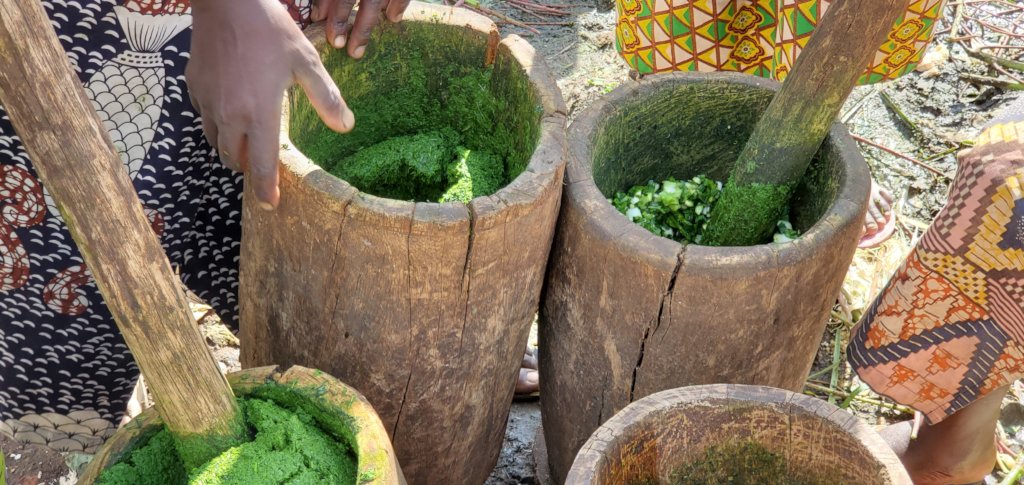 Pandemic Aid for Families in Rwanda