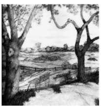 Landscape drawing by Yasmin who leads art group