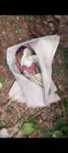 Baby N's fist picture