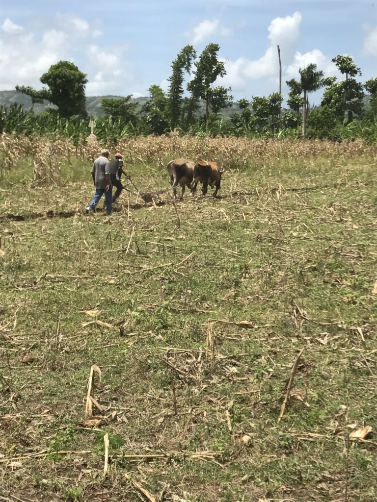 Fight the spread of COVID-19 in Rural Haiti