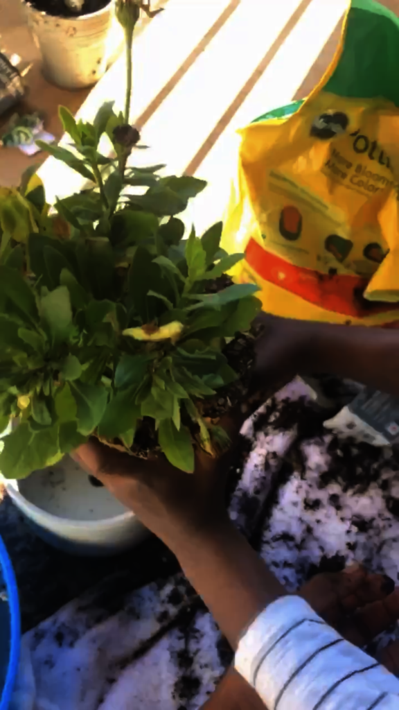 COVID-19 Relief for Atlanta-Area Single Parents