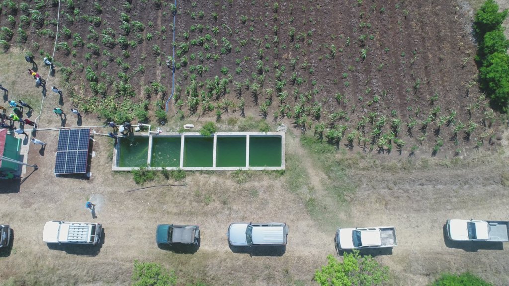 Emergency Seed Bank to avert famine in Haiti.