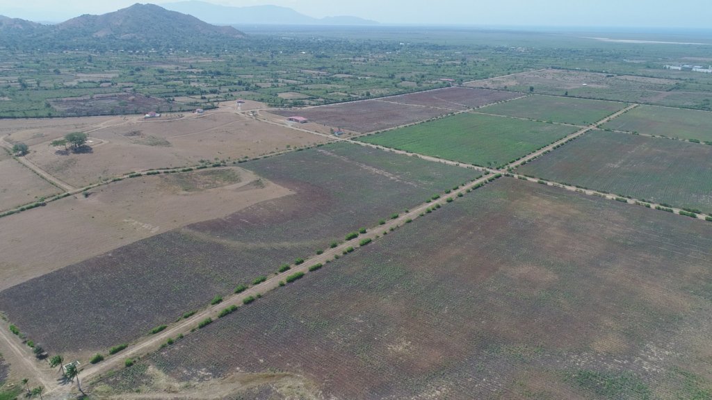 Emergency Seed Bank to avert famine in Haiti.