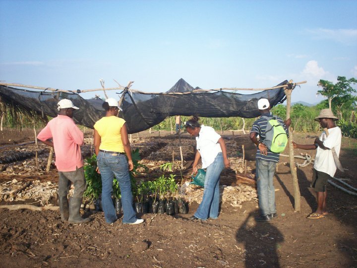 Emergency Seed Bank to avert famine in Haiti.