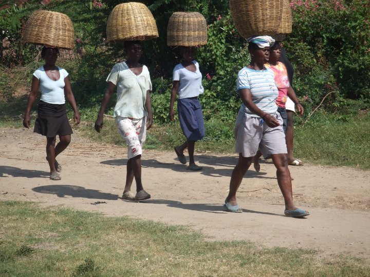 Emergency Seed Bank to avert famine in Haiti.