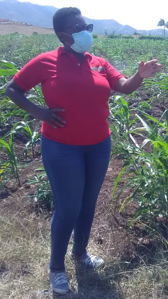 Emergency Seed Bank to avert famine in Haiti.