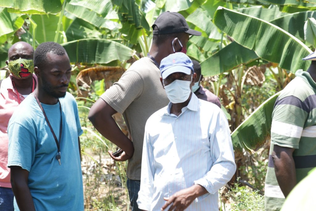Emergency Seed Bank to avert famine in Haiti.