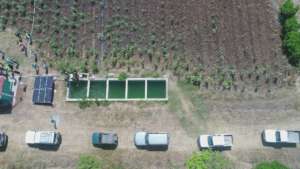 Solar Irrigation for 33 hectares of yuca Plantatio