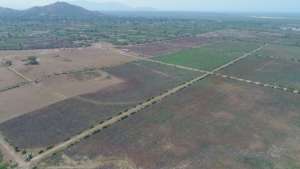 Vacant Land being surveyed for Agriculture