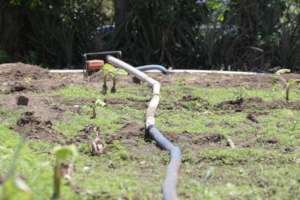 Irrigation