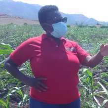 Emergency Seed Bank to avert famine in Haiti.