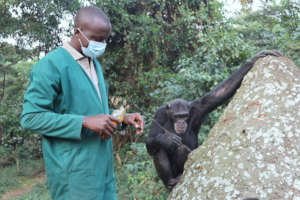 Namukisa enjoying honey given by caregiver Phillip