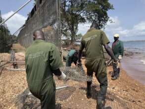 Routine fence repair by caregivers.