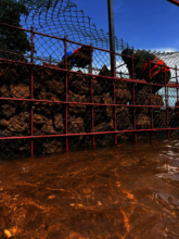 Erecting a gabion wall at the water-end.